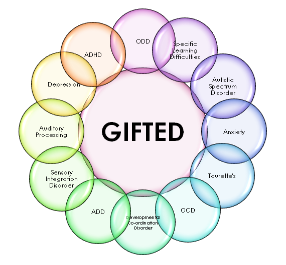 Gifted Assessments