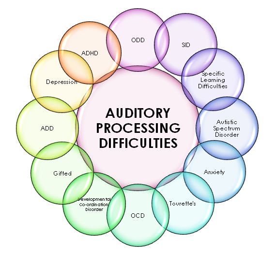 Auditory Processing Adults 14