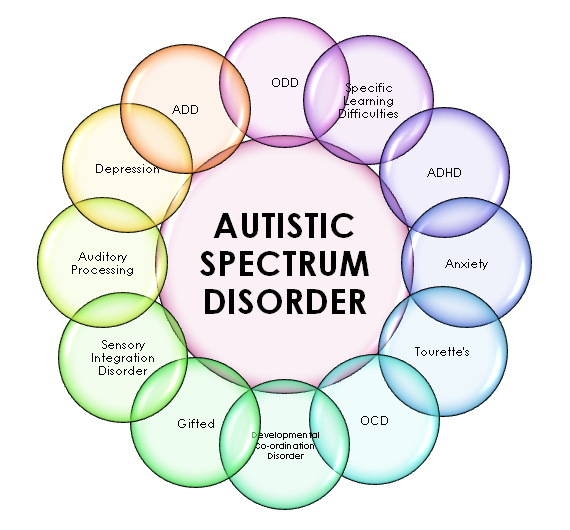 Image result for the autistic spectrum